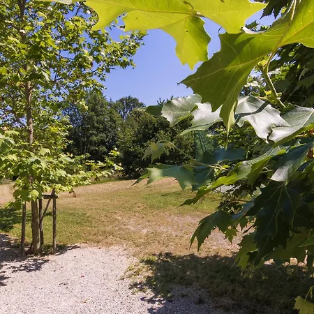 Ferienhaus Romantic In A Medieval Castle With Pool And Restaurant Among Others Chalais (Dordogne)