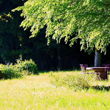 Romantic In A Medieval Castle With Pool And Restaurant Among Others Hébergement de vacances *